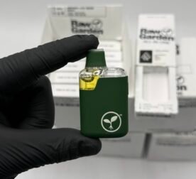 Raw Garden 2g Disposable authentic live resin all in one vape pen unboxed with retail packaging display